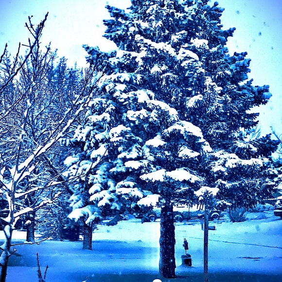 PRAISE THE MIGHTY KING 👑 - Picture 12 of 12